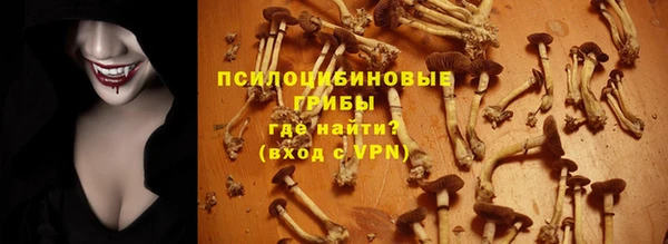 соль ск Алексеевка