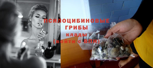соль ск Алексеевка