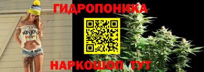 PSILOCYBIN Нягань