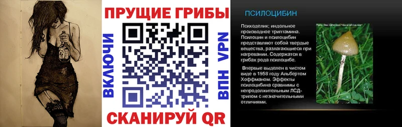 Псилоцибиновые грибы мицелий  где купить   Удомля 