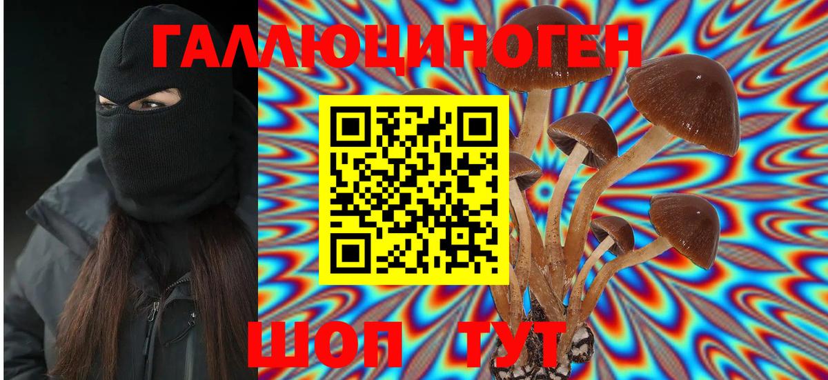 Галлюциногенные грибы мицелий Удомля